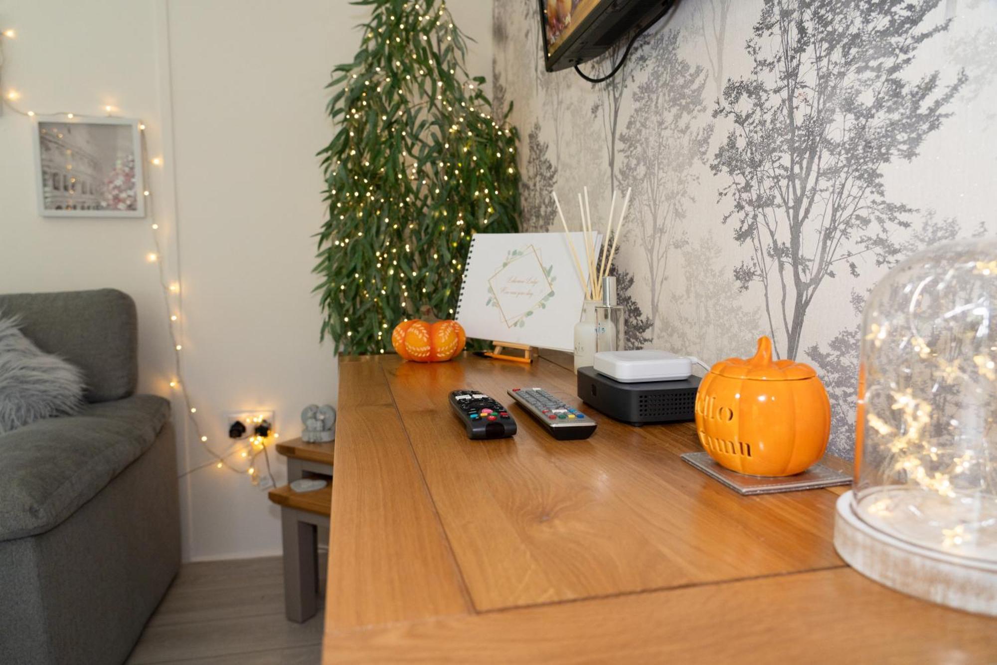 Lakeview Lodge, No Tradesmen Allowed Apartment Builth Wells
